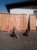 /album/artesanias-schmidt/img-20140928-112623-jpg/