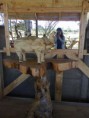 /album/fotogaleria/foto0623-jpg/